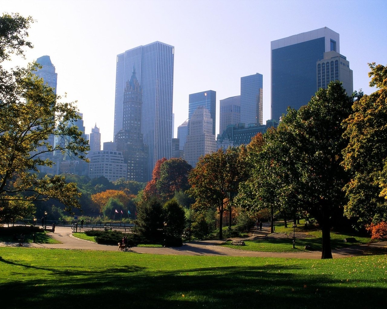 Обои деревья, парк, лето, город, небоскребы, trees, park, summer, the city, skyscrapers разрешение 2534x1686 Загрузить