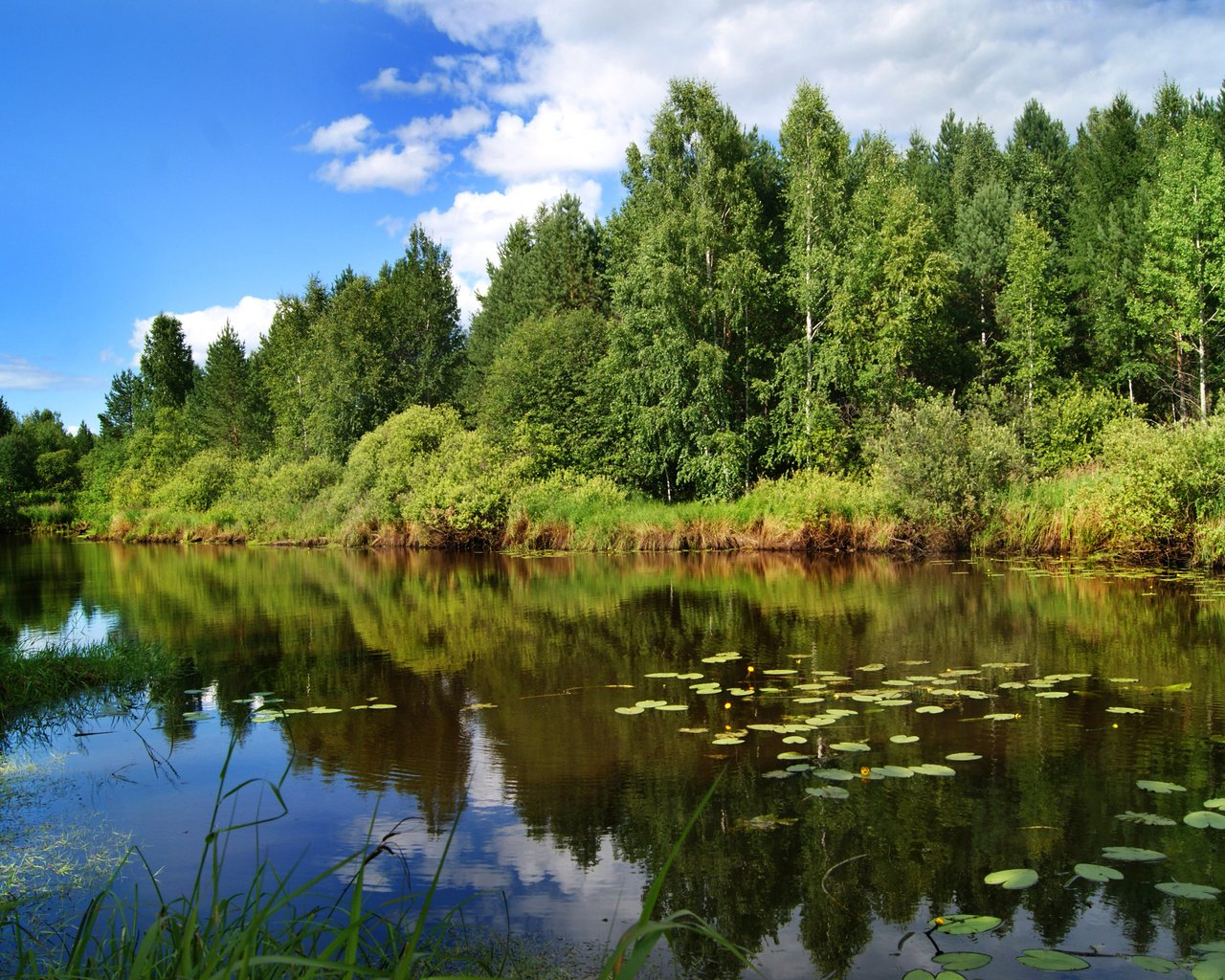 Обои небо, лето, облака, деревья, озеро, река, природа, лес, отражение, the sky, summer, clouds, trees, lake, river, nature, forest, reflection разрешение 3408x2272 Загрузить