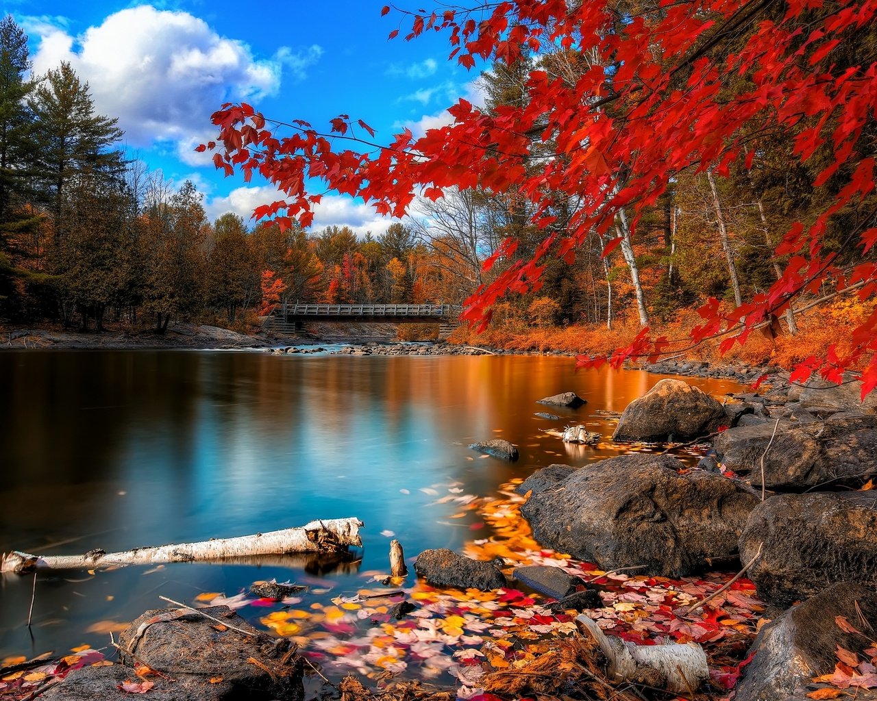 Обои небо, облака, деревья, река, камни, листья, мост, осень, the sky, clouds, trees, river, stones, leaves, bridge, autumn разрешение 2560x1600 Загрузить