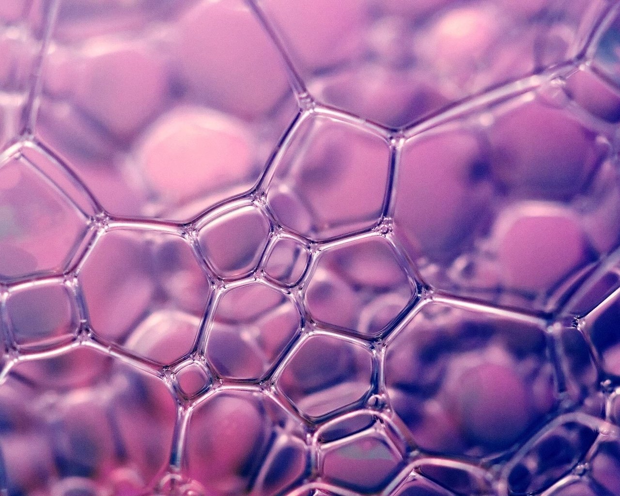 Обои текстура, цвет, лиловый, мыльные пузыри, texture, color, purple, bubbles разрешение 1920x1200 Загрузить