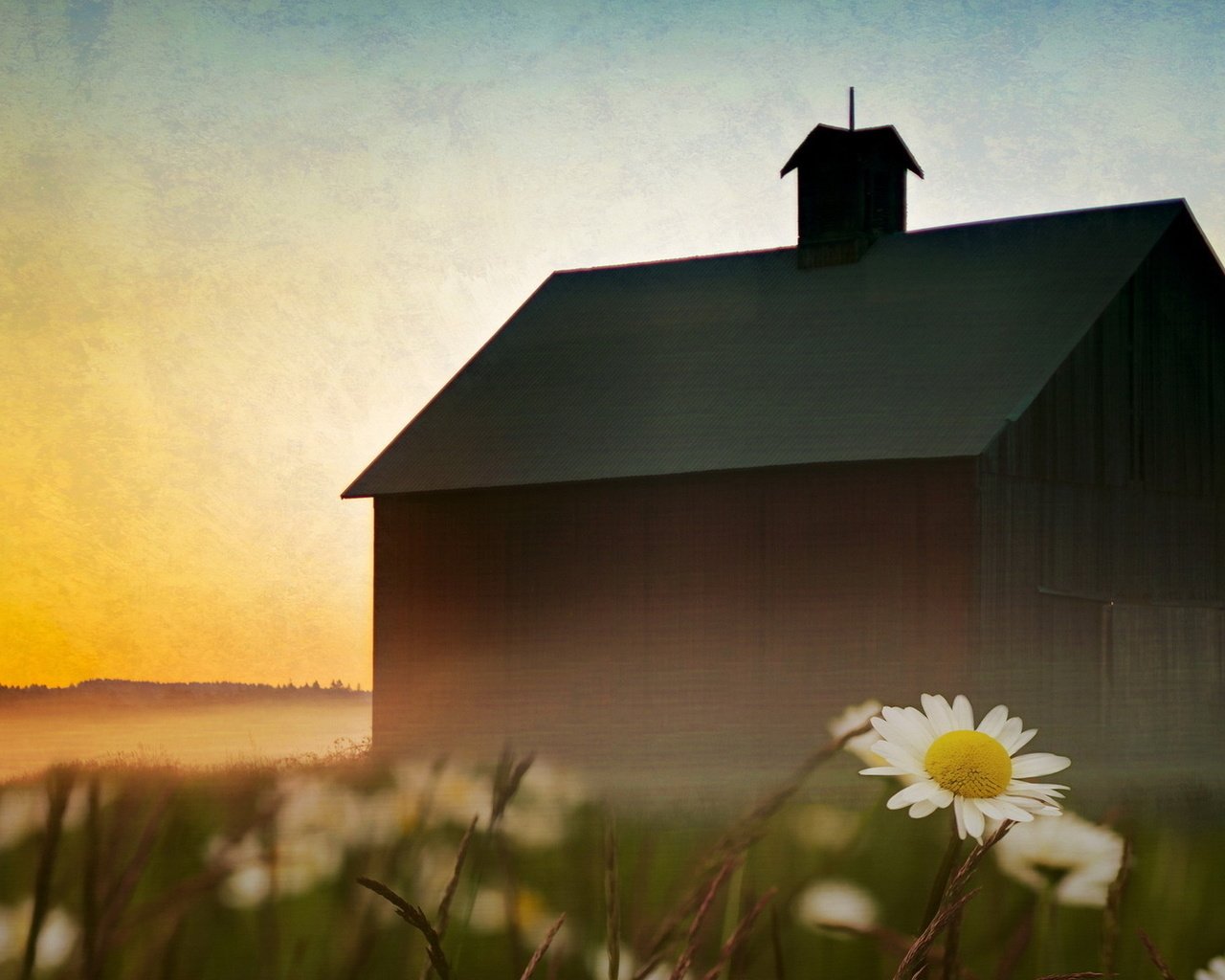 Обои небо, цветы, пейзаж, туман, дом, ромашки, the sky, flowers, landscape, fog, house, chamomile разрешение 1920x1080 Загрузить