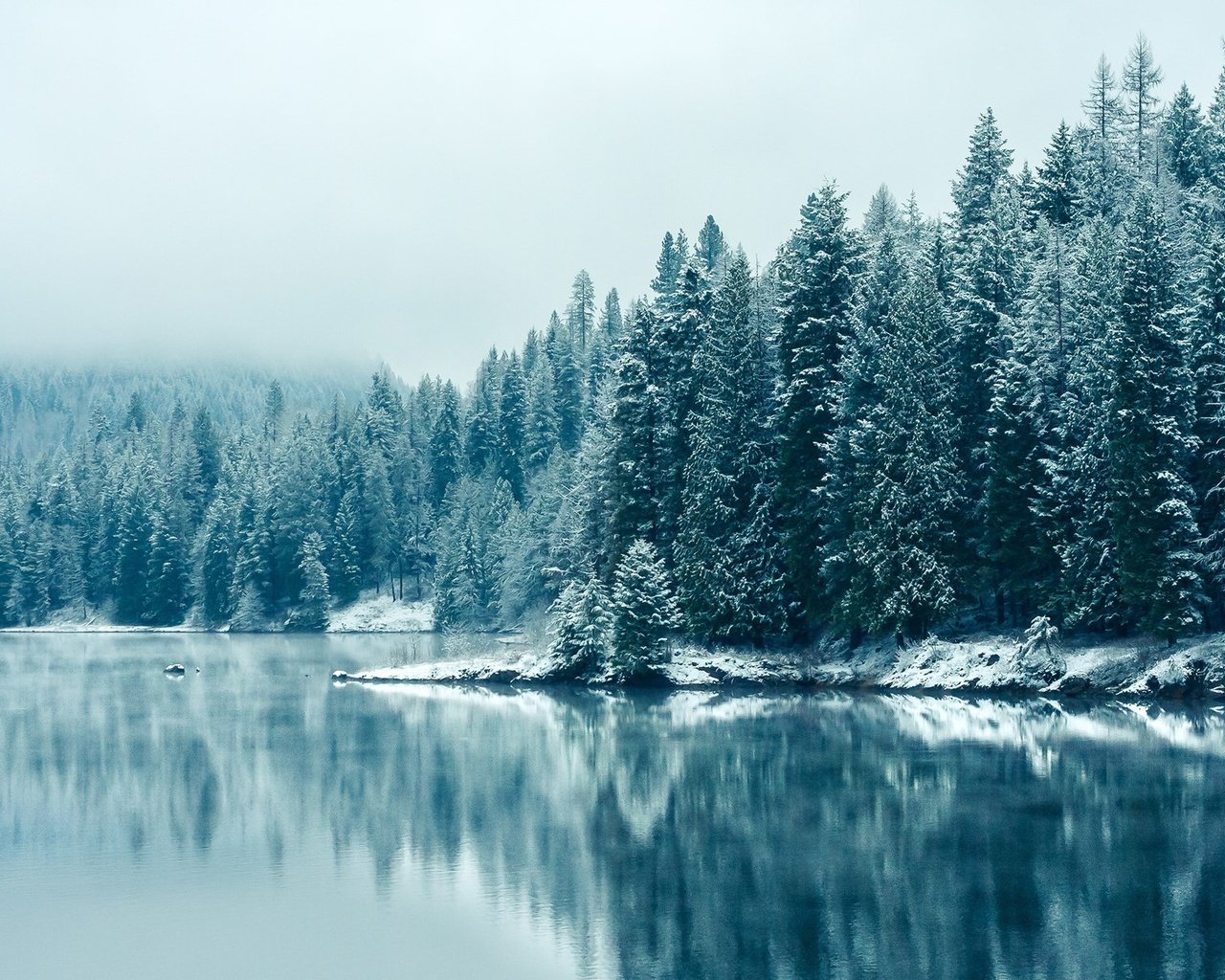 Обои деревья, озеро, снег, лес, зима, отражение, туман, trees, lake, snow, forest, winter, reflection, fog разрешение 1920x1200 Загрузить