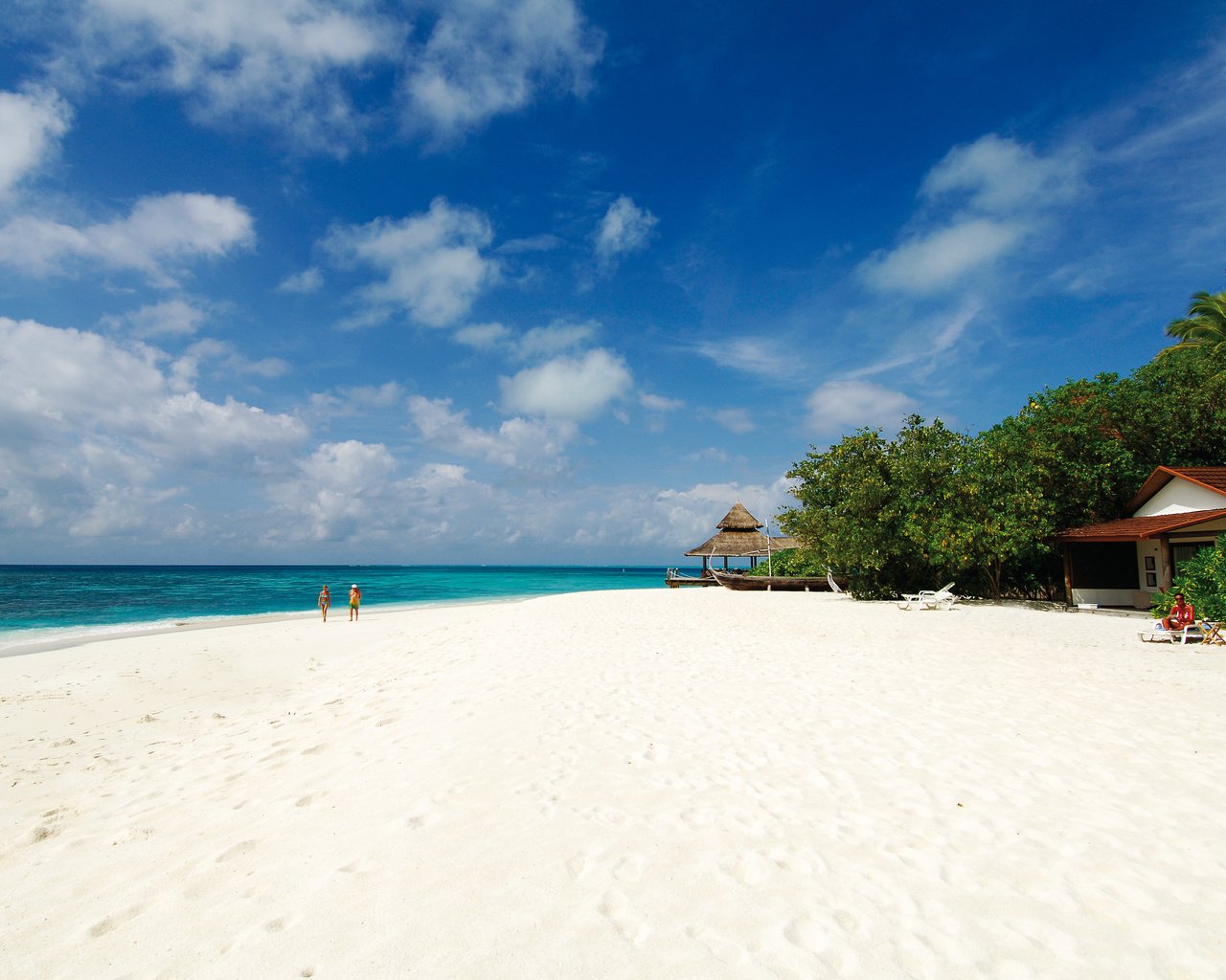 Обои пляж, пальмы, тропики, мальдивы, beach, palm trees, tropics, the maldives разрешение 4288x2848 Загрузить