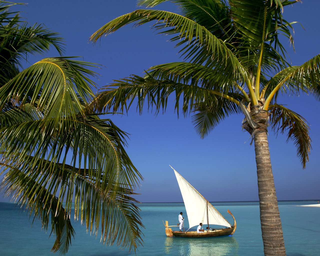 Обои пляж, лодка, пальмы, тропики, мальдивы, beach, boat, palm trees, tropics, the maldives разрешение 2500x1667 Загрузить