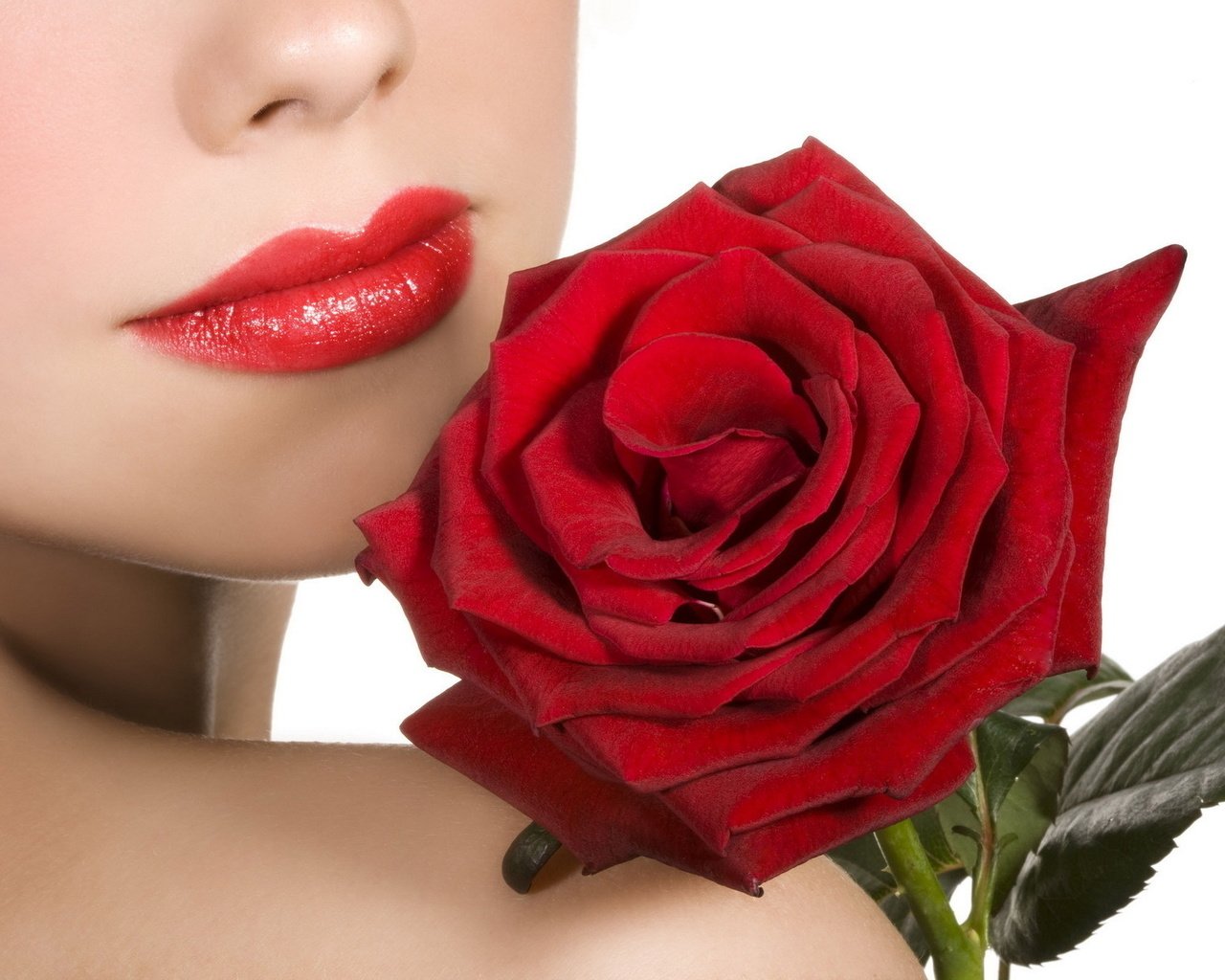 Обои девушка, бархатная, цветок, роза, красная, модель, губы, лицо, красная помада, girl, velvet, flower, rose, red, model, lips, face, red lipstick разрешение 1920x1200 Загрузить