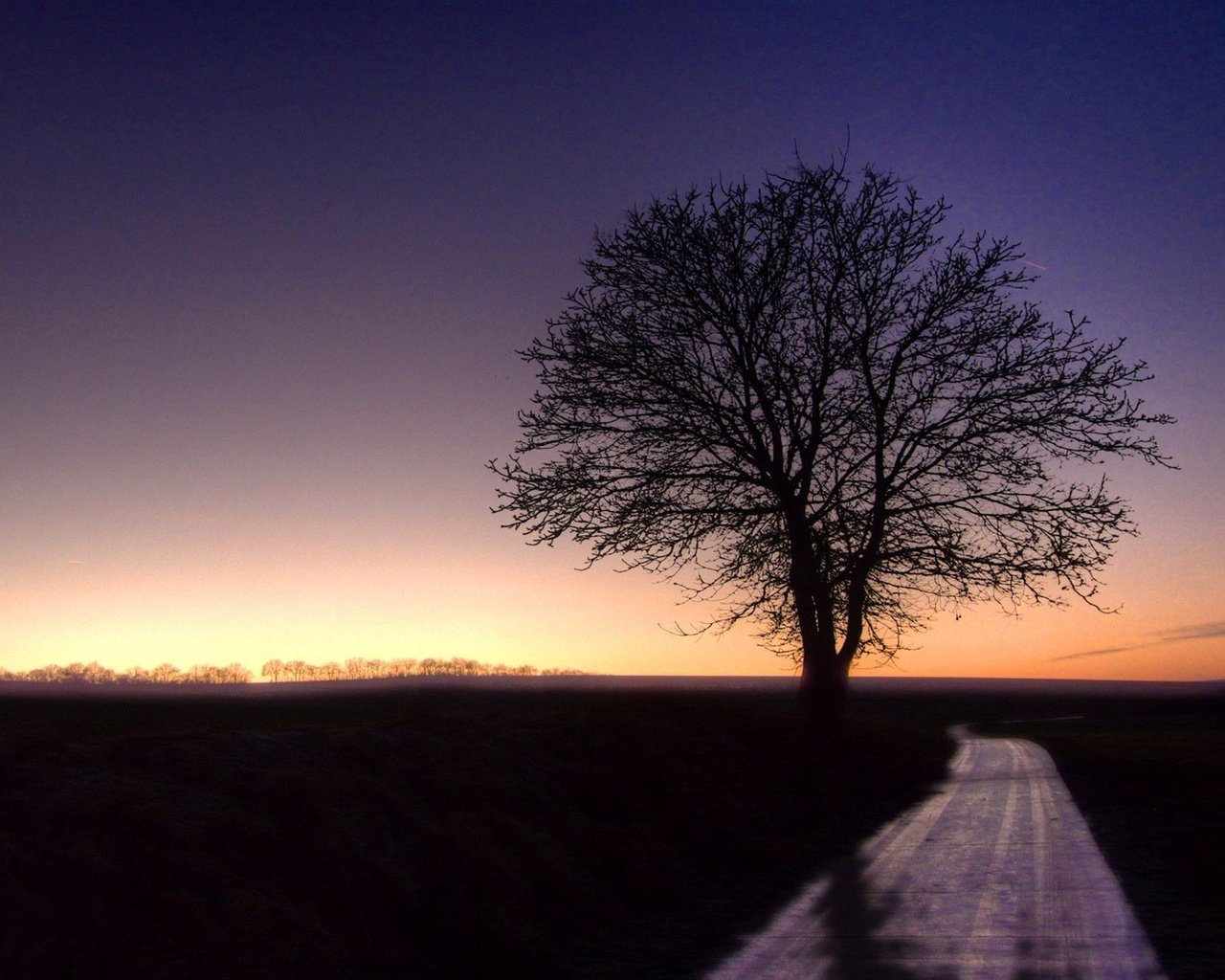 Обои небо, дорога, ночь, природа, дерево, the sky, road, night, nature, tree разрешение 1920x1200 Загрузить