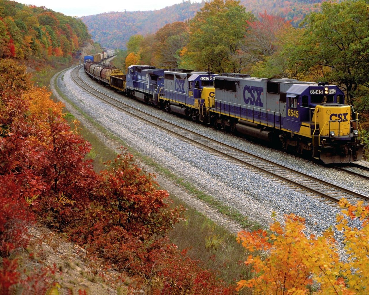 Обои железная дорога, лес, осень, поезд, railroad, forest, autumn, train разрешение 1920x1280 Загрузить