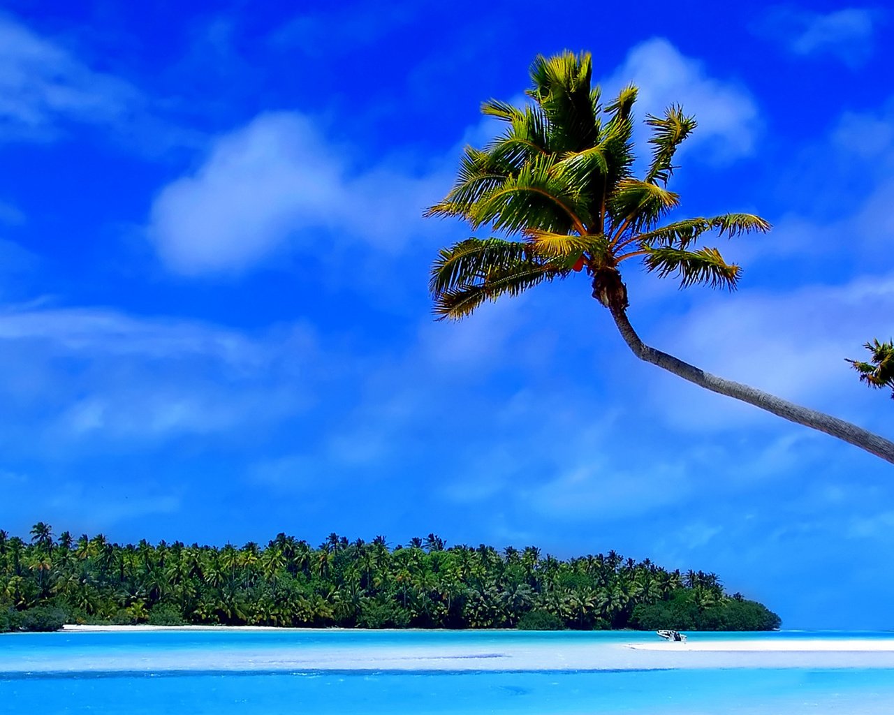 Обои остров, тропики, мальдивы, island, tropics, the maldives разрешение 1920x1080 Загрузить