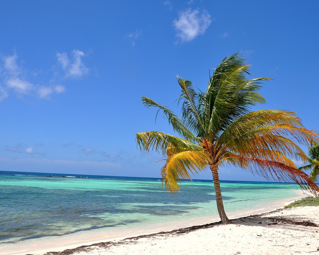Обои пляж, тропики, мальдивы, beach, tropics, the maldives разрешение 2805x1863 Загрузить