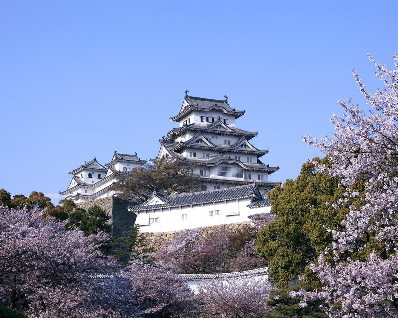 Обои замок, япония, сакура, castle, japan, sakura разрешение 1920x1200 Загрузить