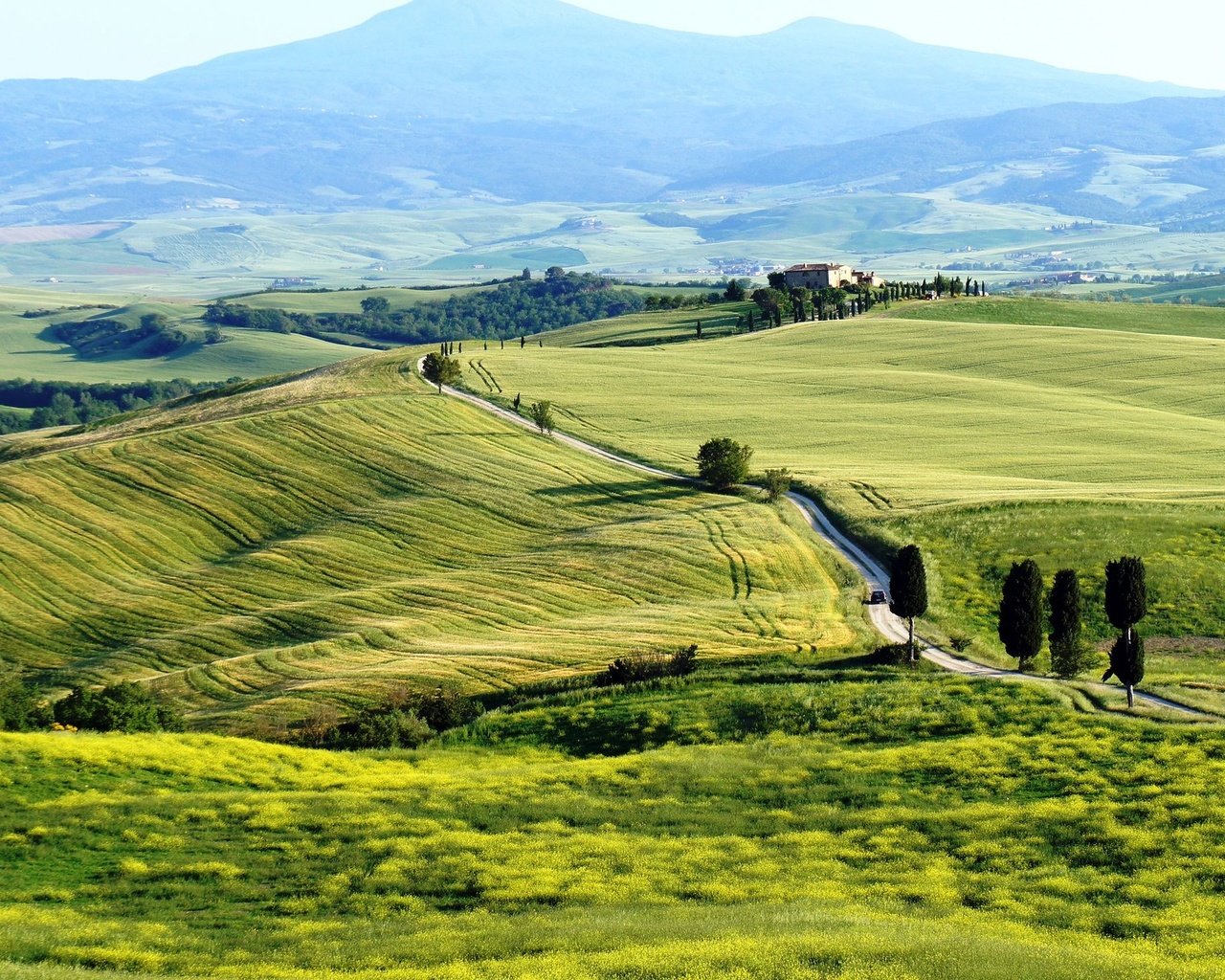 Обои поля, италия, тоскана, toscana, pienza, пьенца, terrapille, field, italy, tuscany разрешение 2560x1440 Загрузить