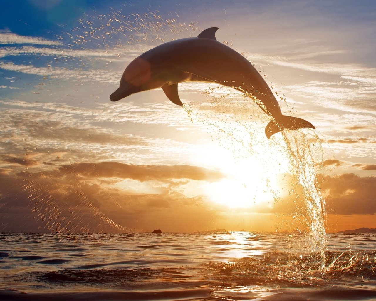 Обои закат, море, брызги, прыжок, дельфин, sunset, sea, squirt, jump, dolphin разрешение 2560x1612 Загрузить