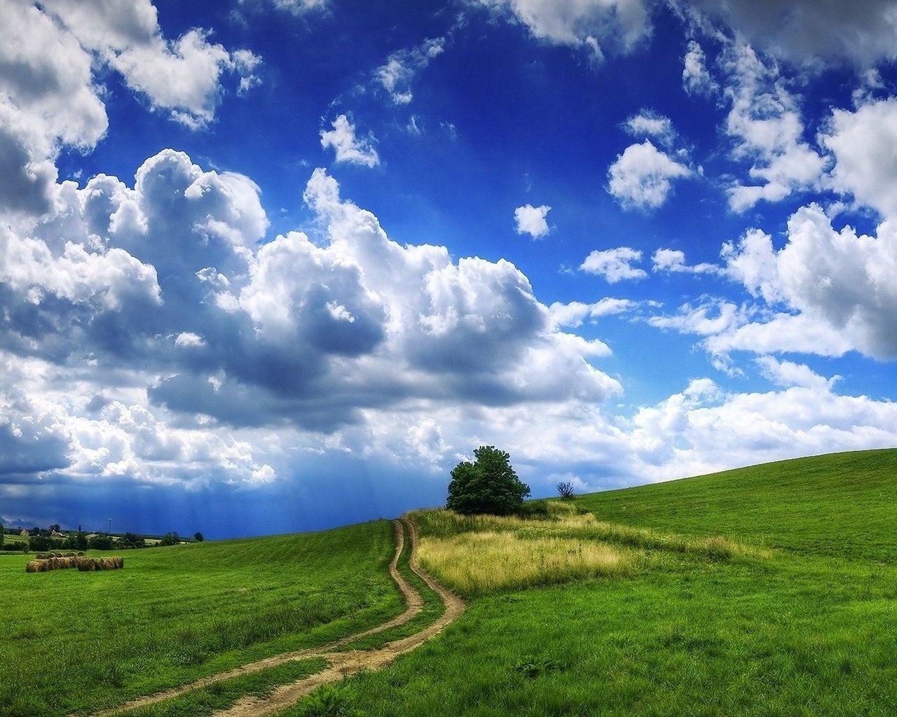 Обои дорога, облака, холмы, дерево, тучи, пейзаж, поле, сено, рава, rav, road, clouds, hills, tree, landscape, field, hay разрешение 1920x1080 Загрузить