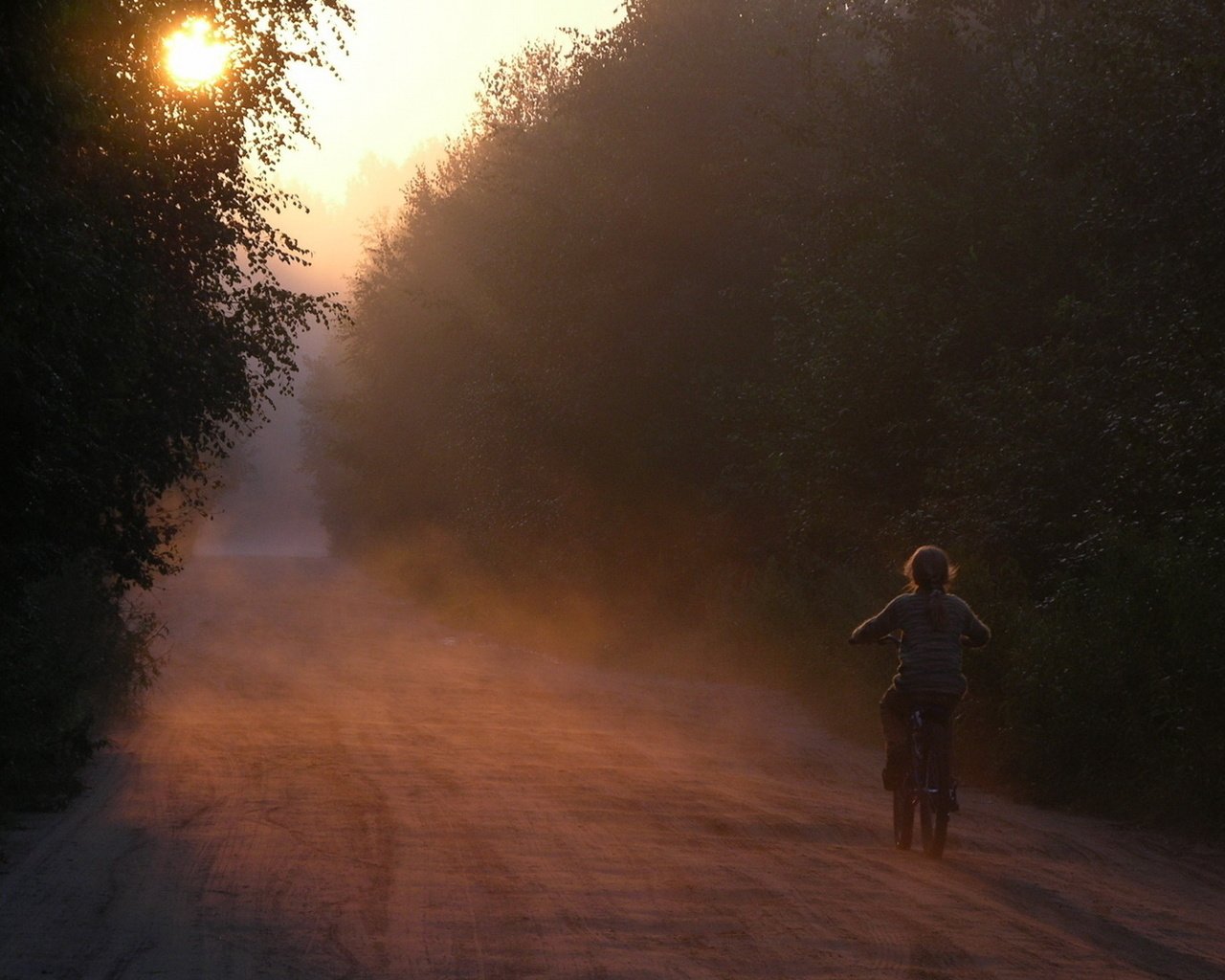 Обои дорога, велосипед, лес, лез, утро, devochka, doroga, туман, utro, velosiped, рассвет, tuman, tishina, дети, солнечный свет, девочка, расссвет, ребенок, road, bike, forest, les, morning, fog, dawn, children, sunlight, girl, rassvet, child разрешение 1920x1100 Загрузить