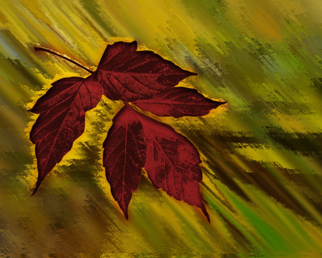 Обои кленовый лист, осенний цвет, maple leaf, autumn color разрешение 2560x1600 Загрузить