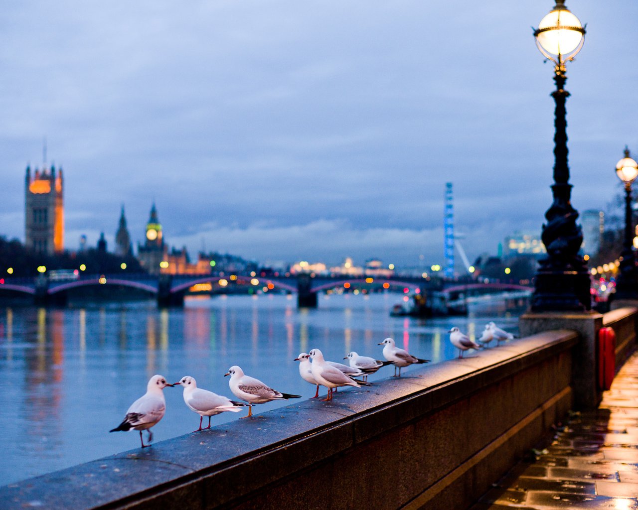 Обои лондон, птицы, англия, набережная, чайки, купола, london, birds, england, promenade, seagulls, dome разрешение 2000x1369 Загрузить