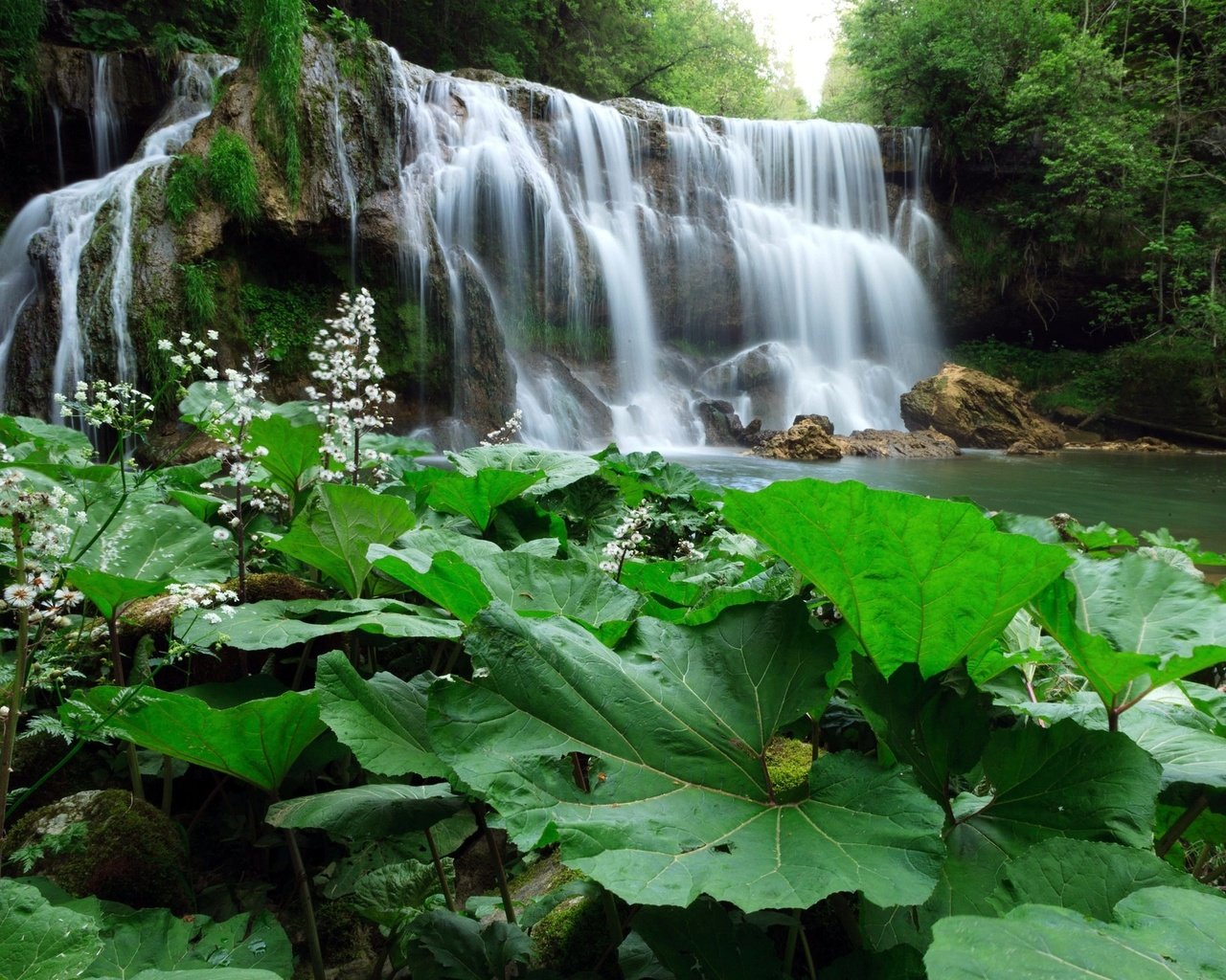 Обои деревья, растения, лес, листья, водопад, речка, trees, plants, forest, leaves, waterfall, river разрешение 2048x1348 Загрузить