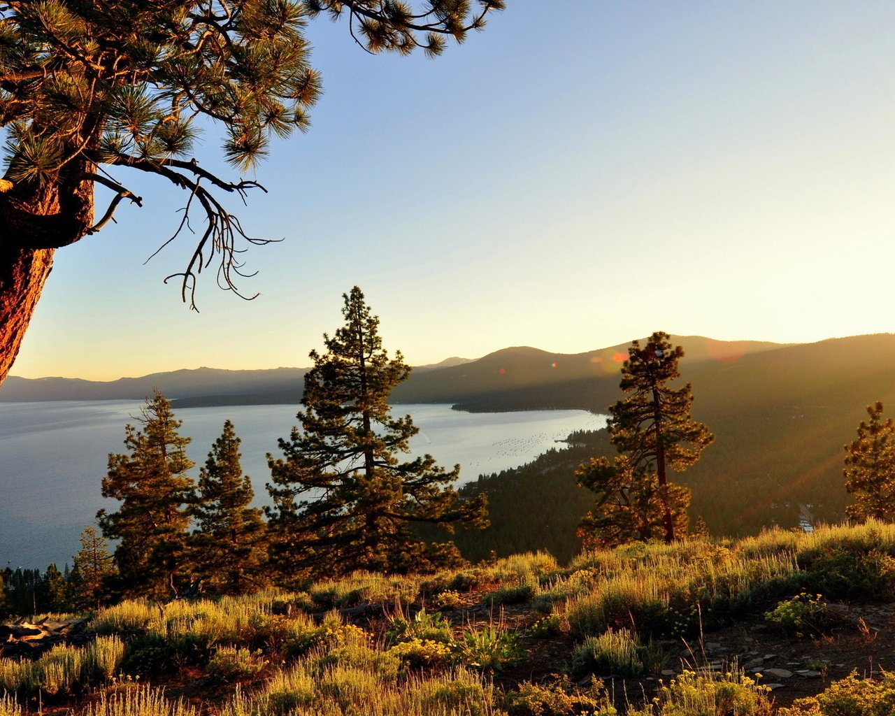 Обои озеро, природа, дерево, калифорния, сосна, озеро тахо, lake, nature, tree, ca, pine, lake tahoe разрешение 1920x1200 Загрузить