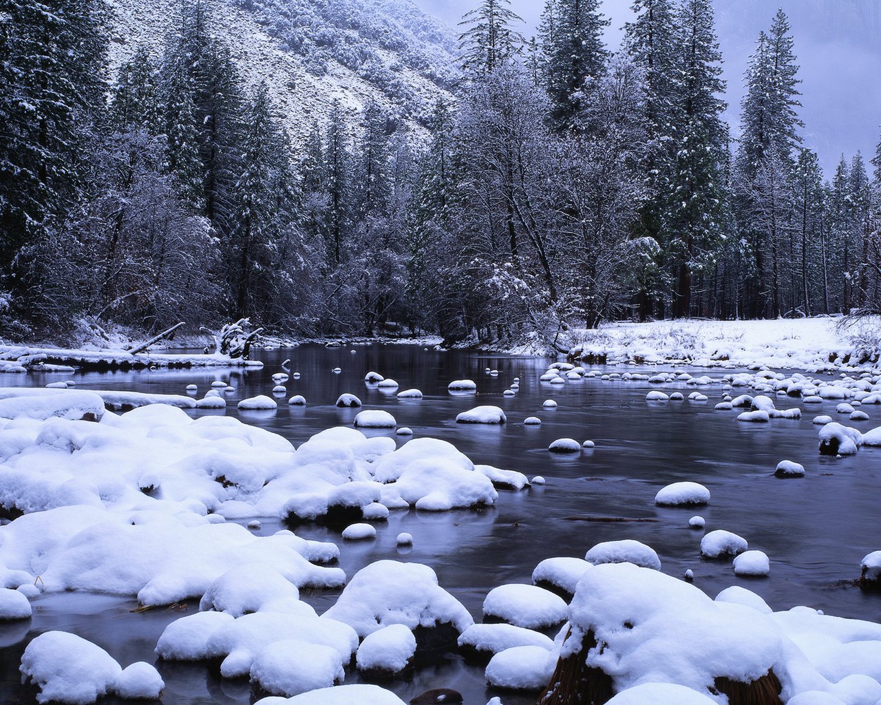 Обои снег, зима, snow, winter разрешение 1920x1080 Загрузить