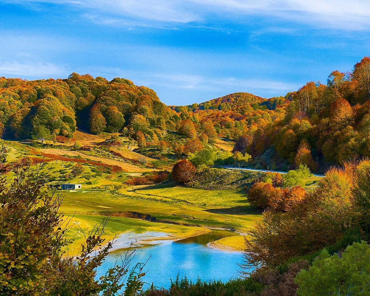 Обои красивый осенний лес на холмах, beautiful autumn forest in the hills разрешение 2560x1440 Загрузить