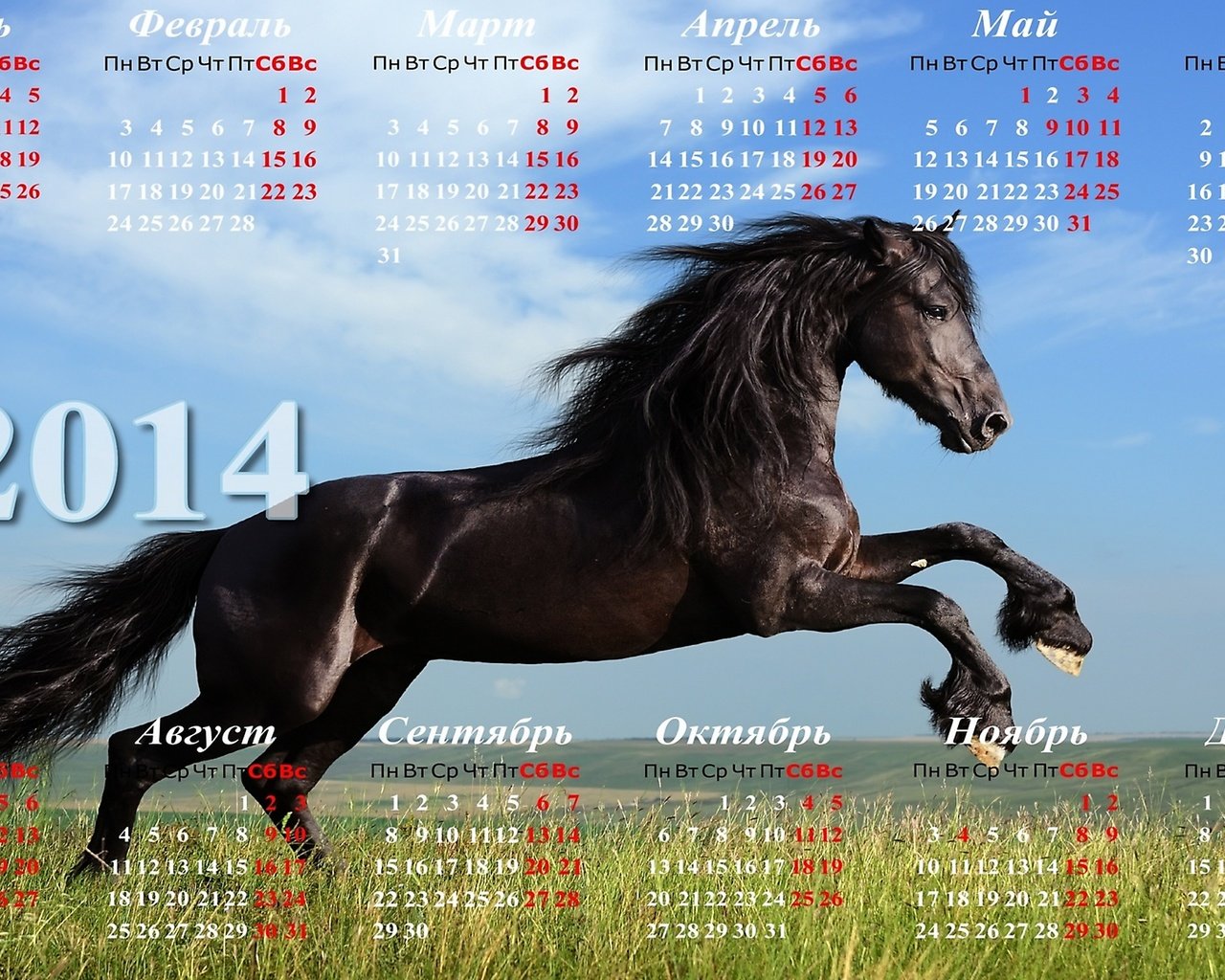 Обои календарь 2014 с лошадью, calendar 2014 with horse разрешение 2560x1440 Загрузить