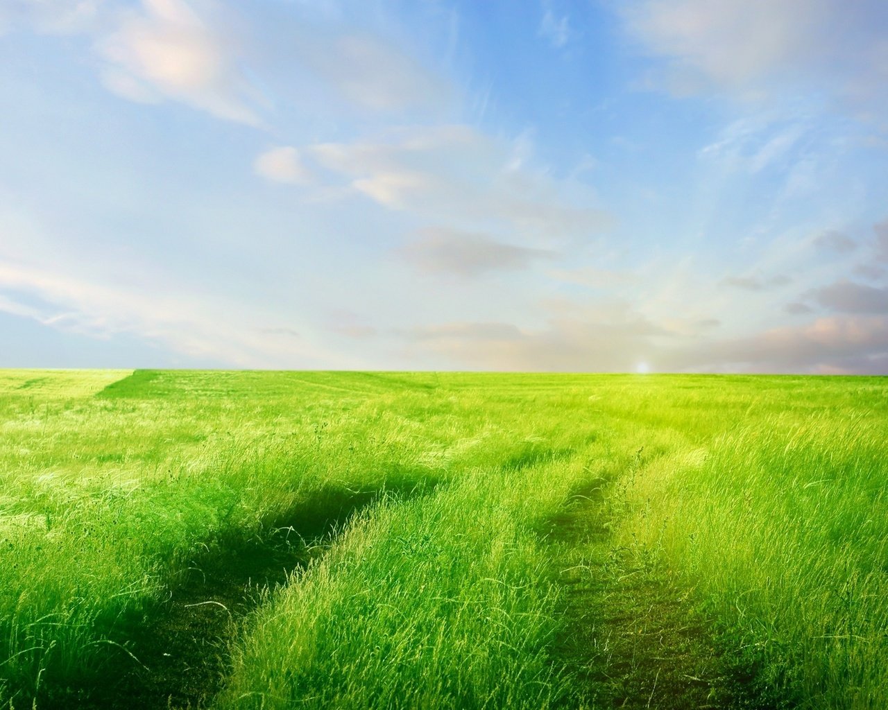 Обои небо, дорога, трава, облака, зелень, поле, горизонт, the sky, road, grass, clouds, greens, field, horizon разрешение 1920x1080 Загрузить