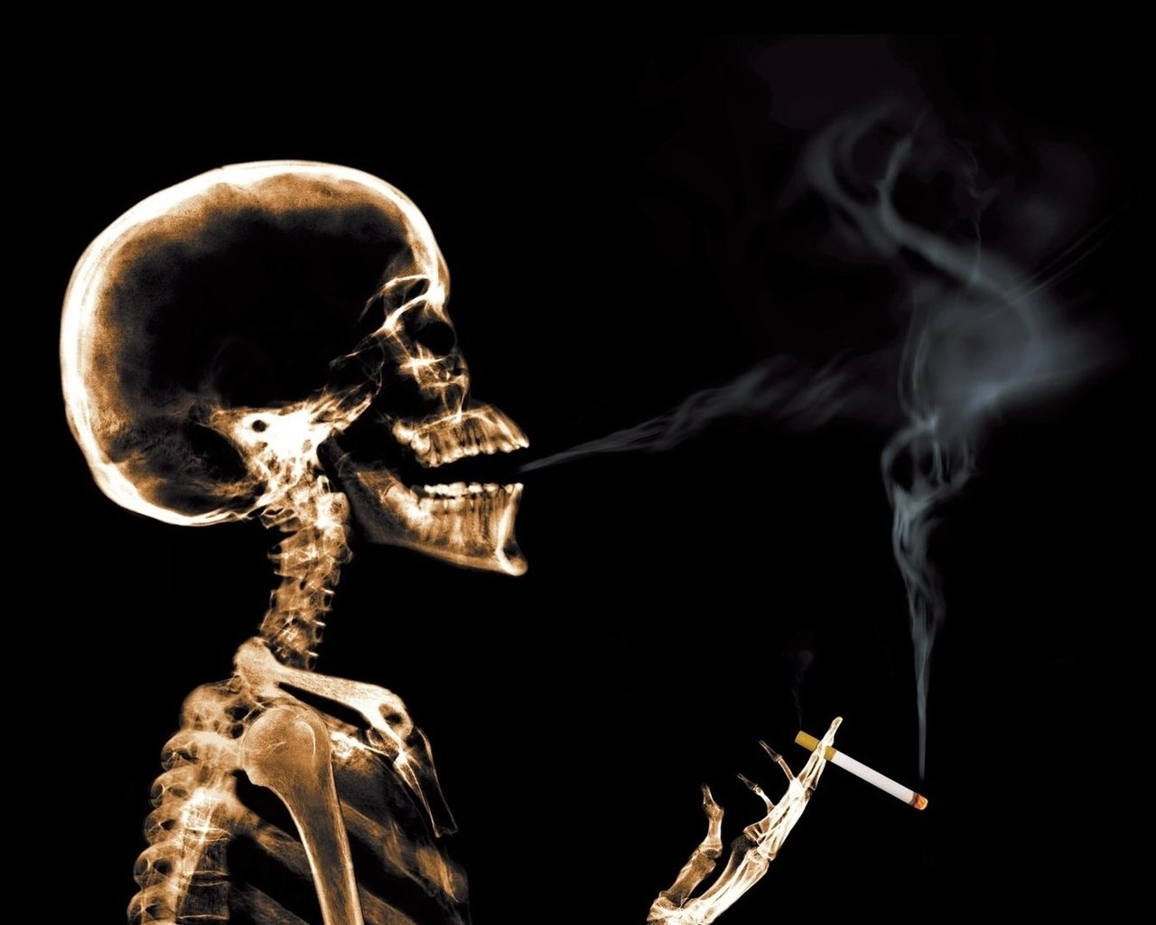 Загрузить обои дым, рентген, сигарета, скелет, smoke, x-ray, cigarette, ske...