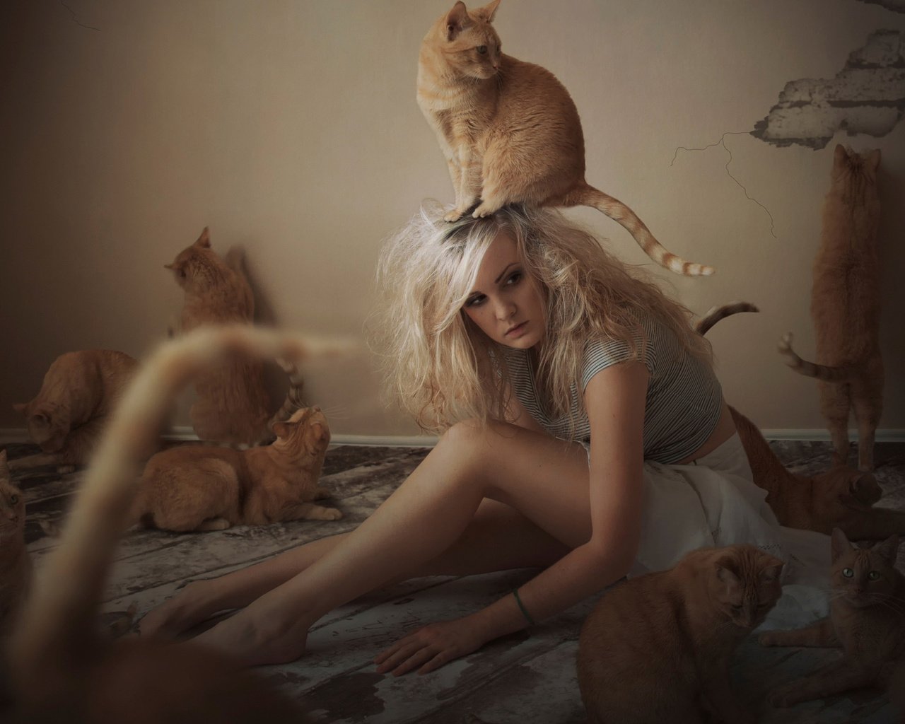 Обои девушка, коты, кошки, рыжие, girl, cats, red разрешение 1920x1200 Загрузить