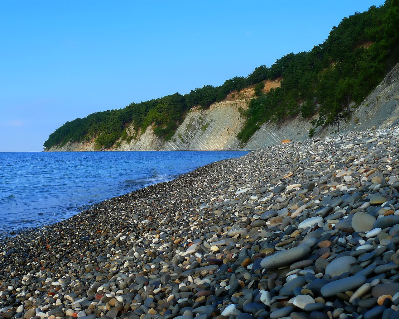 Обои камни, море, пляж, кусты, stones, sea, beach, the bushes разрешение 1920x1200 Загрузить