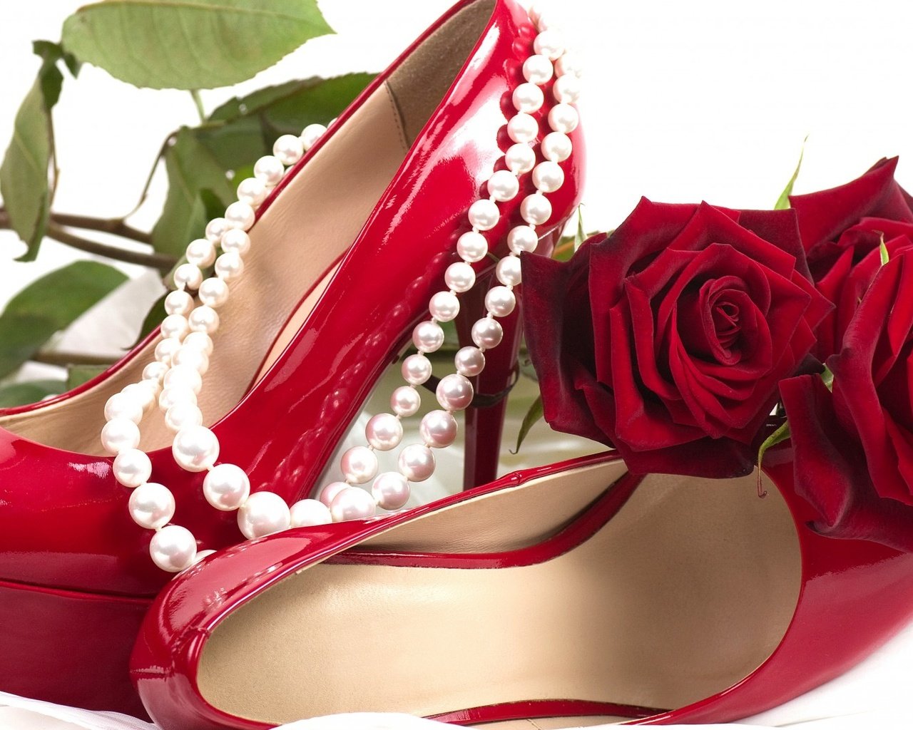 Обои цветы, жемчуг, цветок, колье, розы, сексуальность,  цветы, роза, жемчужины, красный, ожерелья, роз, романтика, цветком, сексапильная, обувь, башмаки, краcный, мелодрама, flowers, pearl, flower, necklace, sexuality, roses, rose, pearls, red, romance, sexy, shoes разрешение 1920x1080 Загрузить