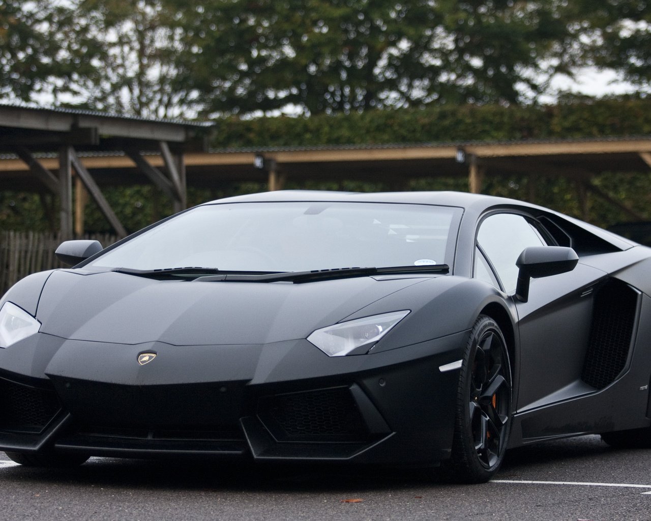 Обои черный, блака, ламборгини, авентадор, black, lamborghini, aventador разрешение 3567x2313 Загрузить