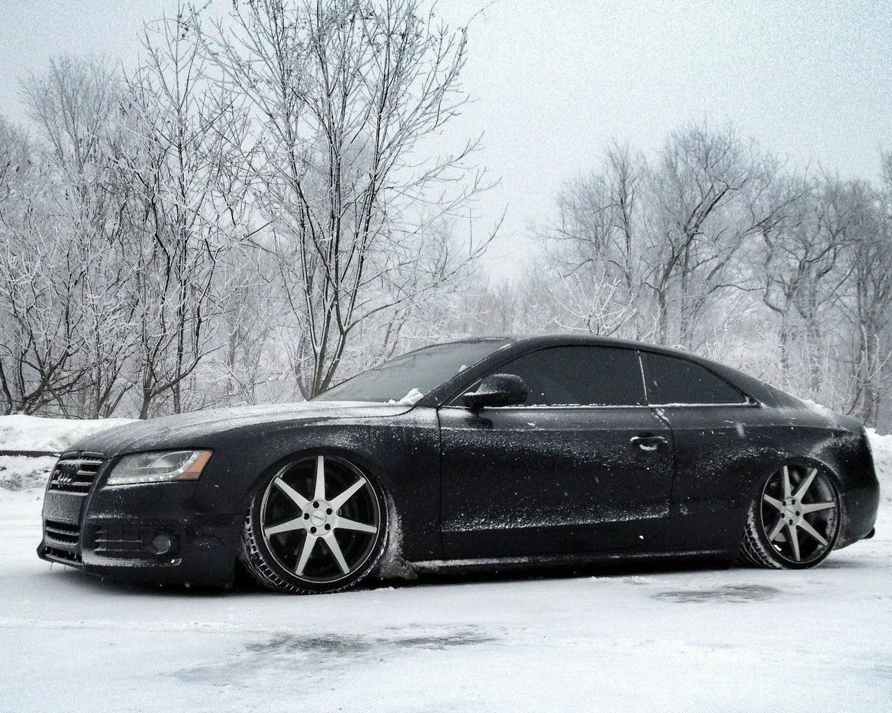 Обои снег, зима, ауди, тюнинг, диски, audi s5, snow, winter, audi, tuning, drives разрешение 1920x1080 Загрузить