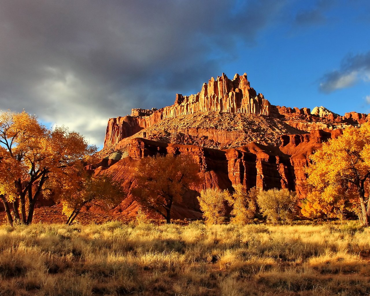 Обои скала, осень, каньон, сша, национальный парк, капитол-риф, capitol reef national park, осенний пейзаж, rock, autumn, canyon, usa, national park, capitol reef разрешение 2560x1600 Загрузить