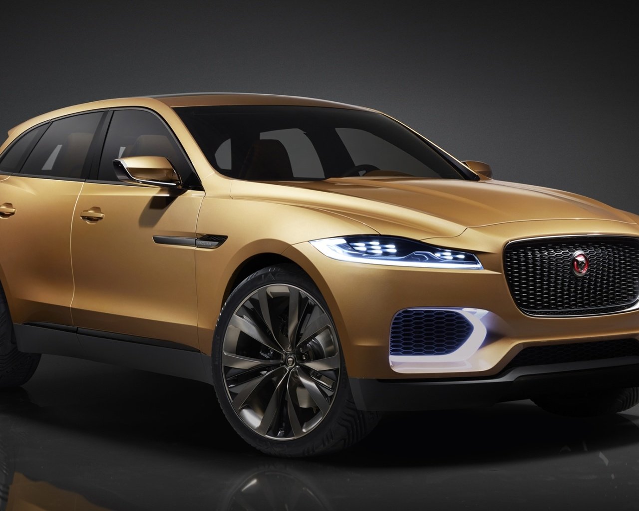 Обои ягуар, concept, концепт, передок, c-x17, 5-seater, ягуа́р, jaguar, the concept, the front, the c-x17 разрешение 1920x1200 Загрузить