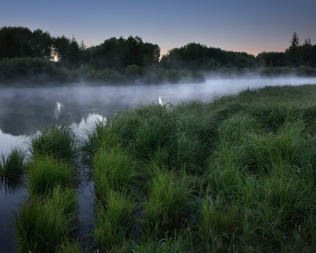 Обои трава, озеро, лес, утро, туман, рассвет, grass, lake, forest, morning, fog, dawn разрешение 1920x1200 Загрузить