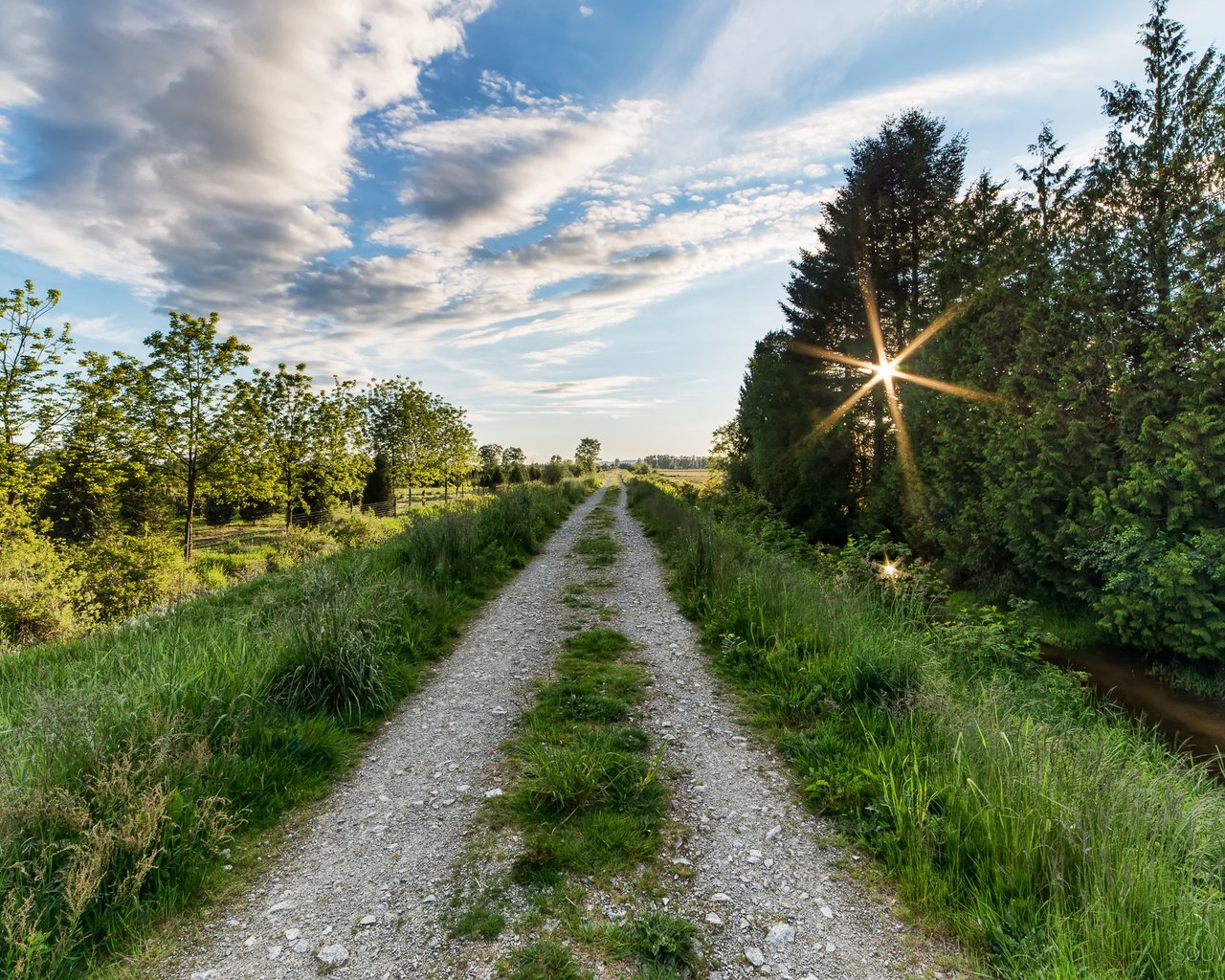 Обои дорога, деревья, солнце, пейзаж, road, trees, the sun, landscape разрешение 2374x1500 Загрузить