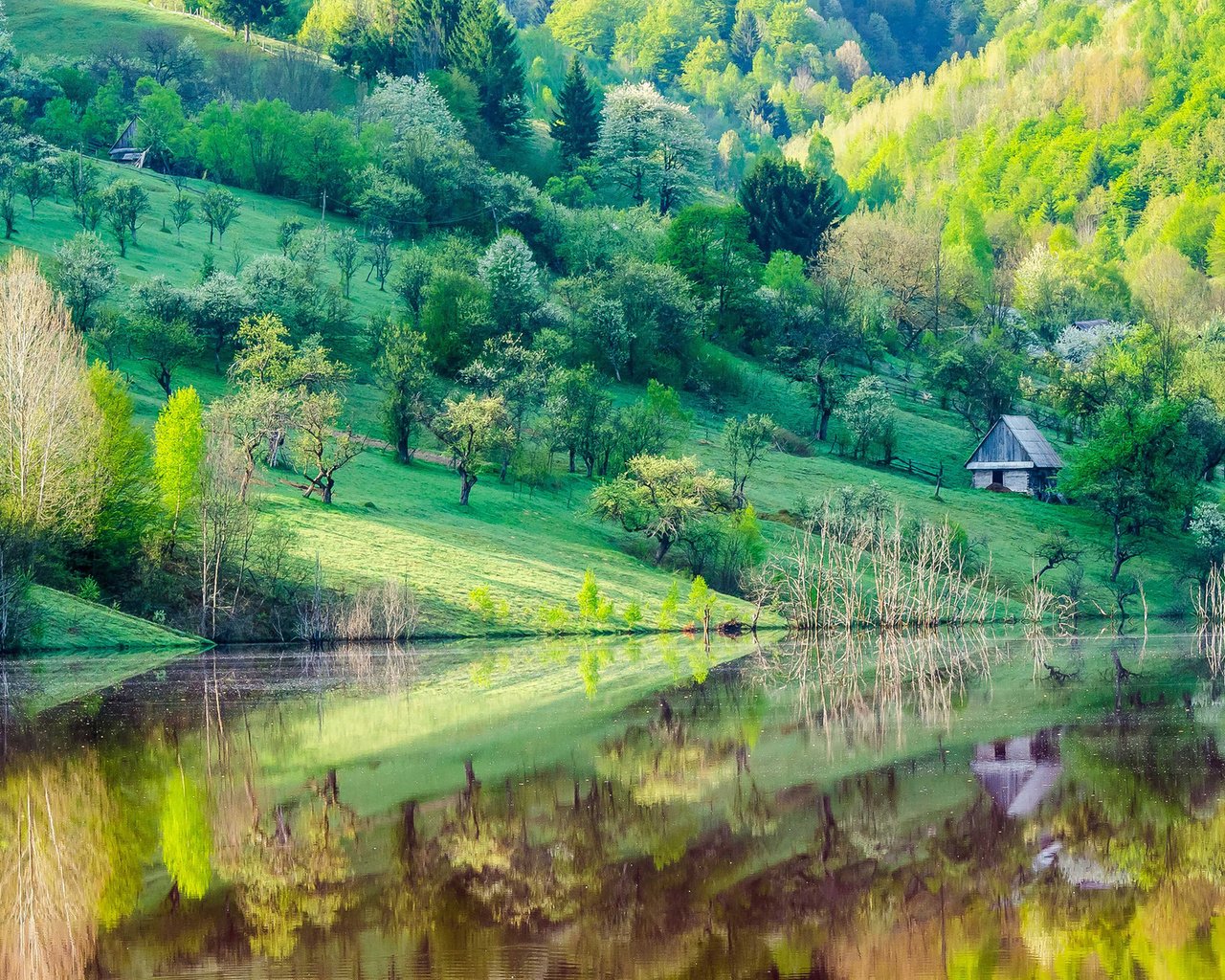 Обои деревья, озеро, отражение, склон, гора, дома, весна, trees, lake, reflection, slope, mountain, home, spring разрешение 1920x1200 Загрузить