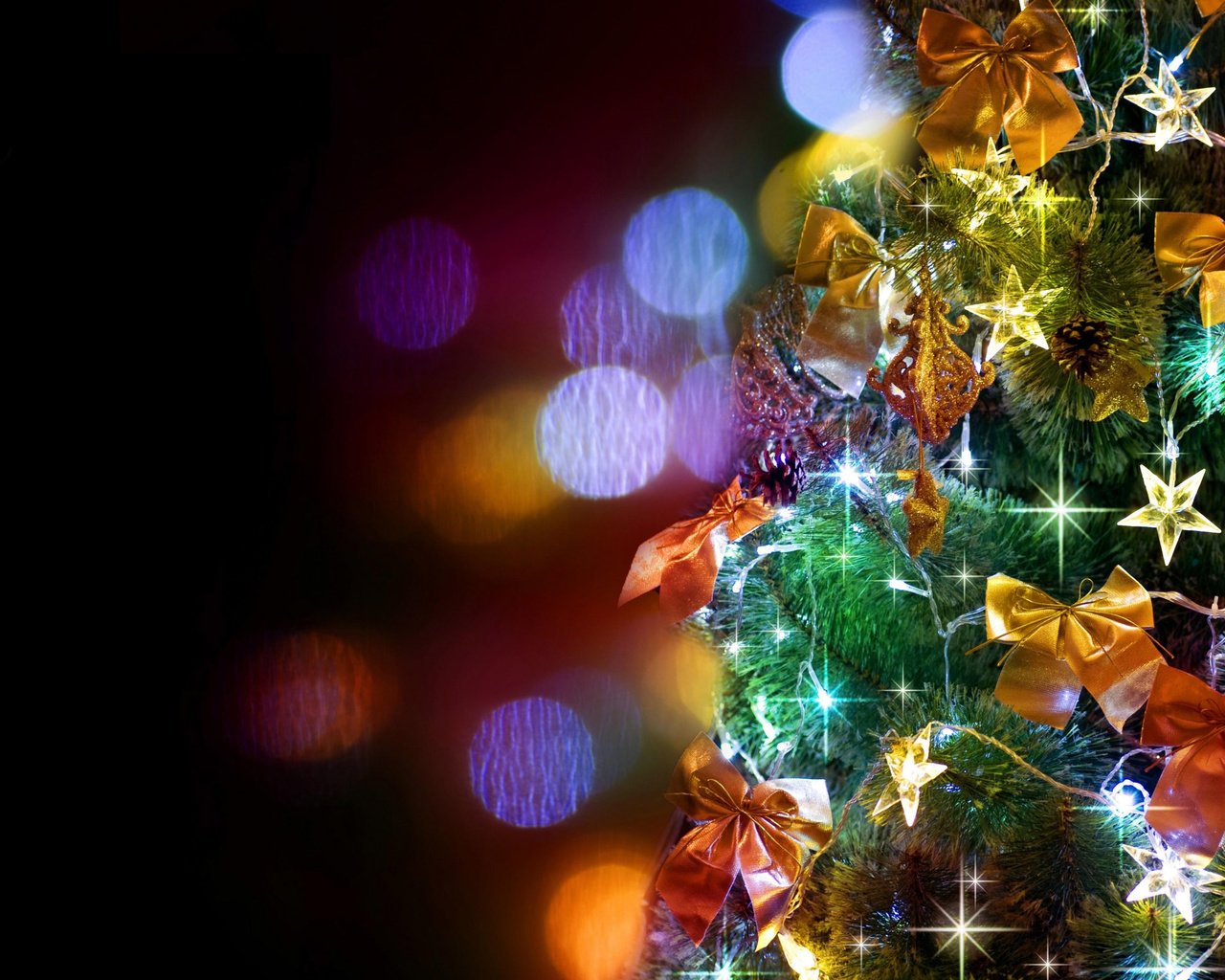 Обои новый год, елка, елочные игрушки, новогодние игрушки, новогодние украшения, новогодний шар, new year, tree, christmas decorations, christmas toys, christmas ball разрешение 2560x1600 Загрузить