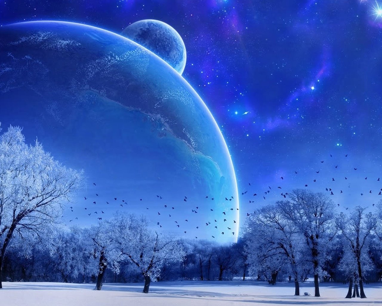 Обои небо, деревья, moon, на природе, the sky, trees, nature разрешение 1920x1080 Загрузить