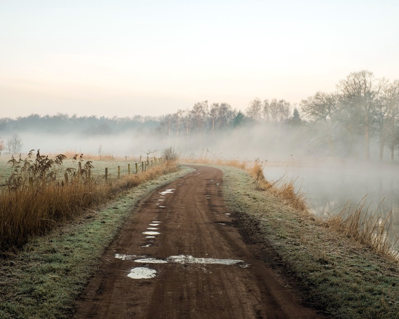 Обои дорога, река, природа, пейзаж, утро, туман, road, river, nature, landscape, morning, fog разрешение 2048x1365 Загрузить