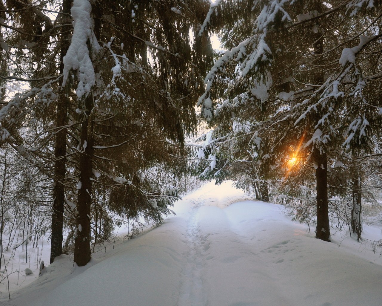 Обои дорога, деревья, снег, природа, зима, road, trees, snow, nature, winter разрешение 2875x1910 Загрузить