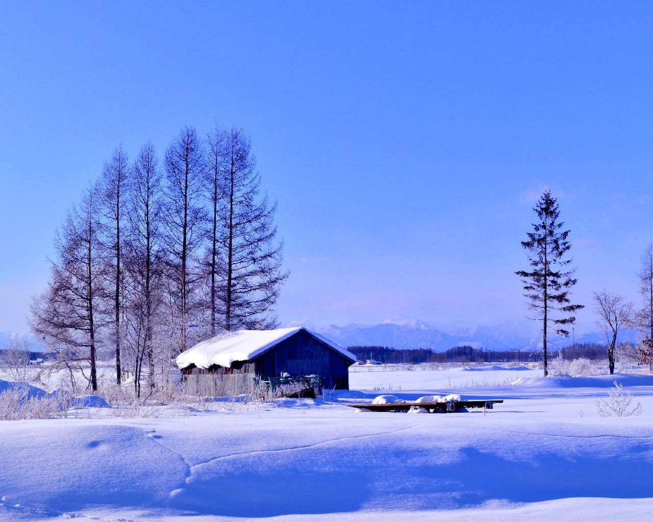 Обои деревья, снег, зима, поле, дом, trees, snow, winter, field, house разрешение 1920x1200 Загрузить