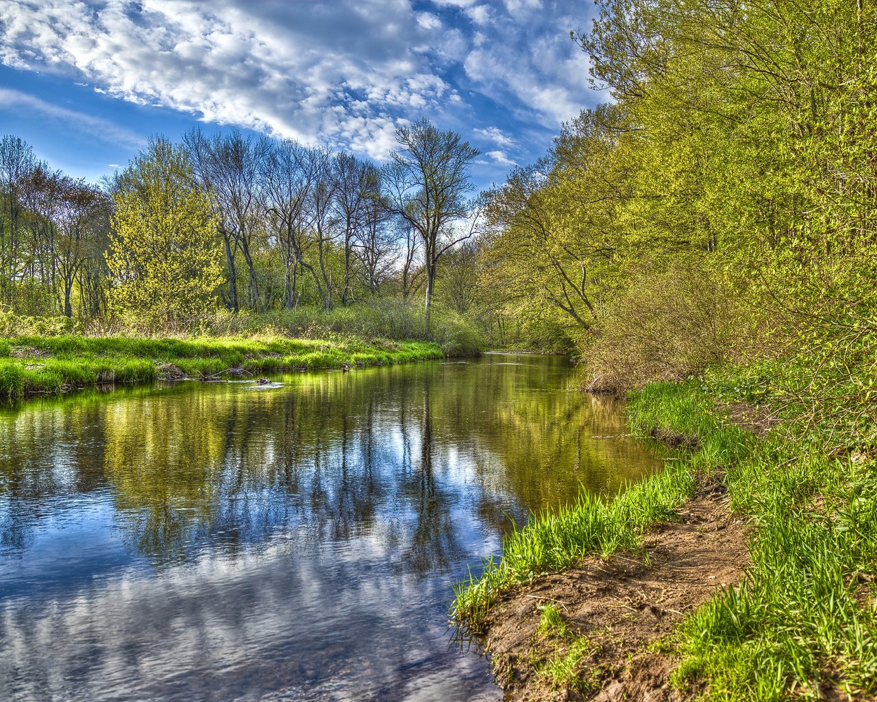 Обои небо, облака, река, лес, the sky, clouds, river, forest разрешение 2560x1600 Загрузить