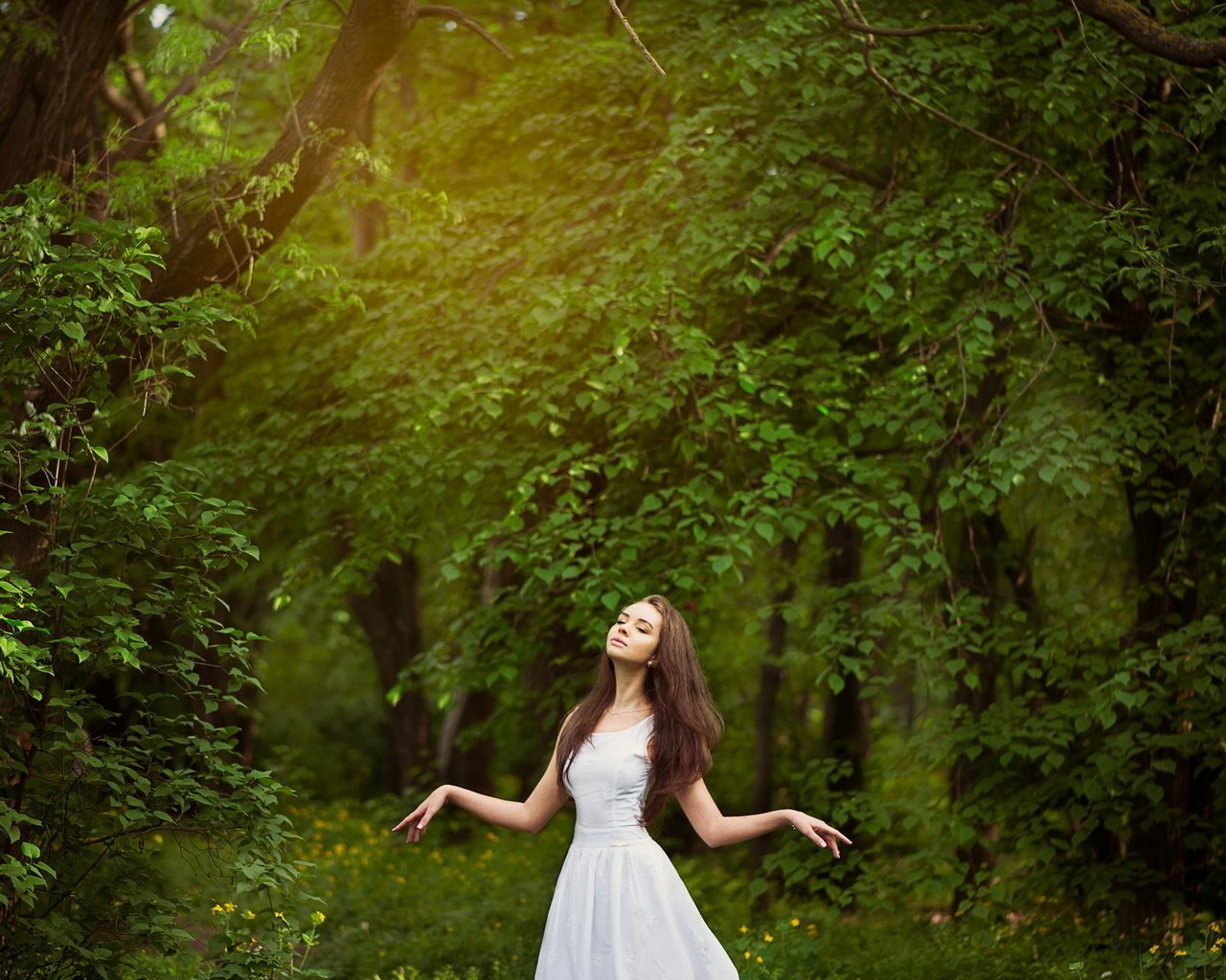 Обои деревья, лес, девушка, настроение, шатенка, trees, forest, girl, mood, brown hair разрешение 2048x1362 Загрузить