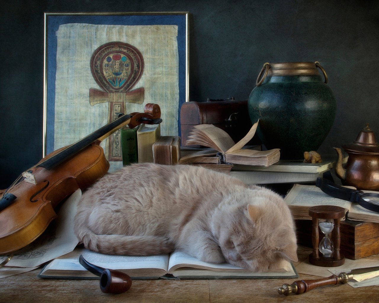 Обои скрипка, кошка, сон, трубка, книга, violin, cat, sleep, tube, book разрешение 1920x1200 Загрузить