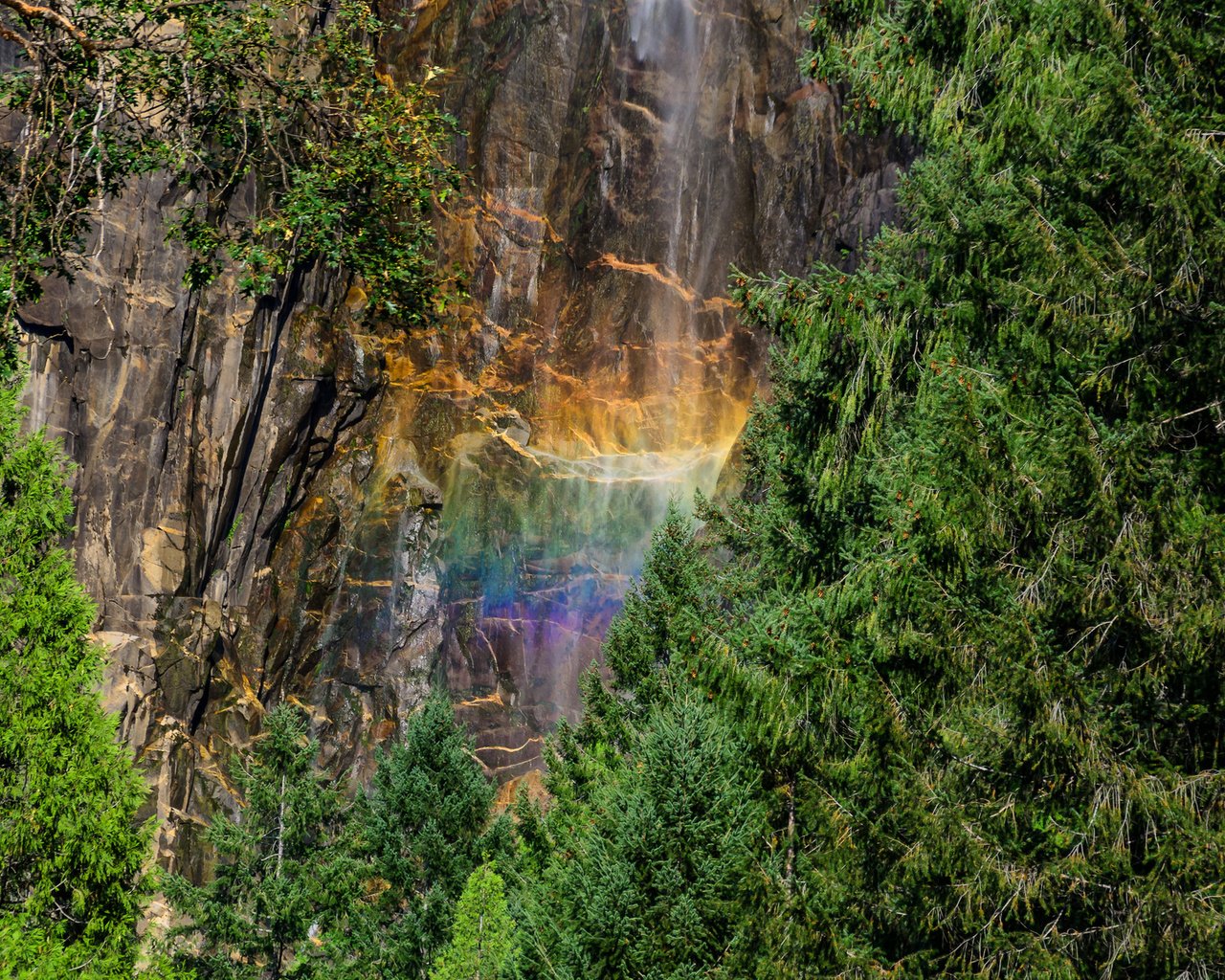 Обои лес, скала, водопад, радуга, йосемитский национальный парк, forest, rock, waterfall, rainbow, yosemite national park разрешение 2048x1152 Загрузить