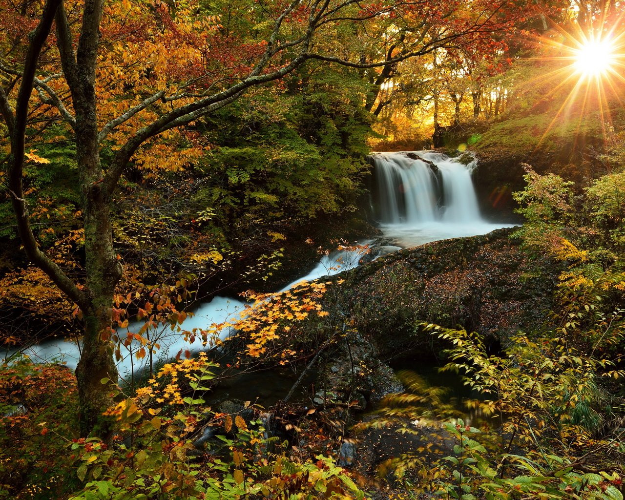 Обои солнце, лес, водопад, осень, природа., the sun, forest, waterfall, autumn, nature. разрешение 3000x1997 Загрузить