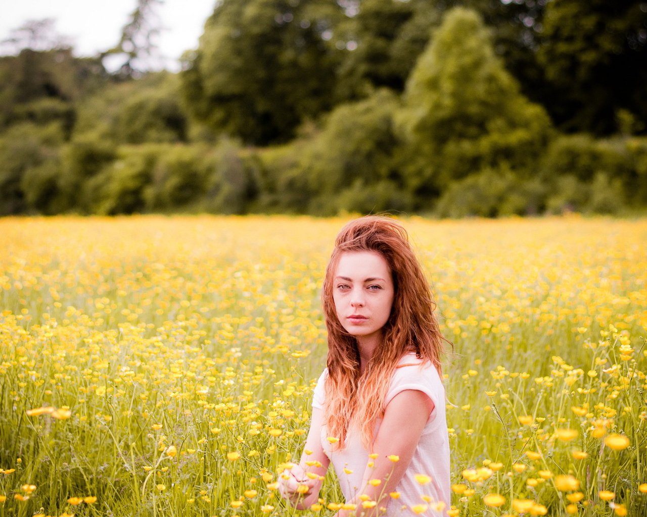 Обои цветы, девушка, поле, лето, flowers, girl, field, summer разрешение 2560x1600 Загрузить