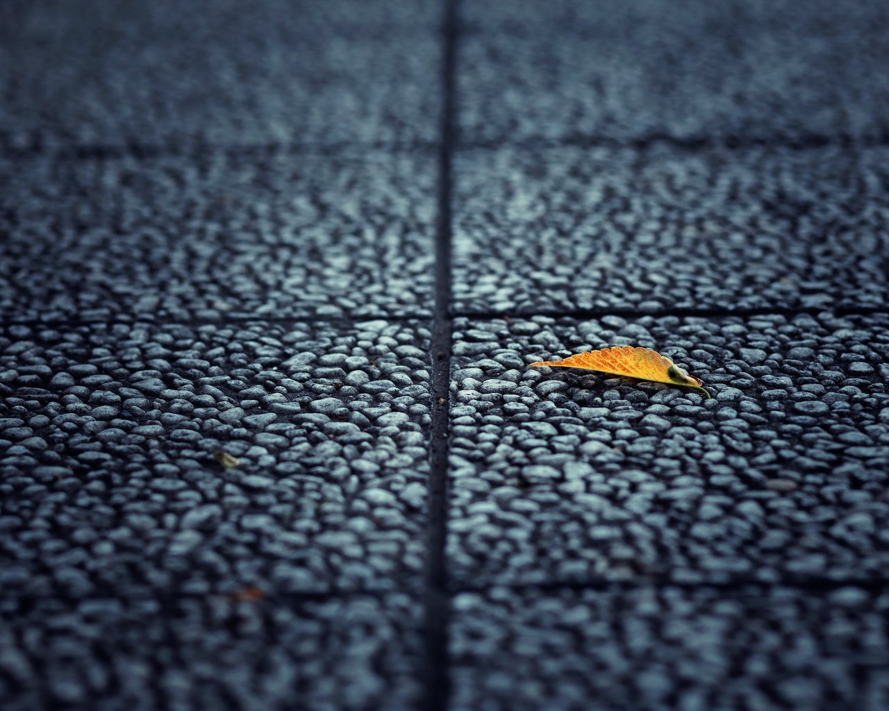 Обои фон, лист, улица, асфальт, background, sheet, street, asphalt разрешение 2560x1600 Загрузить