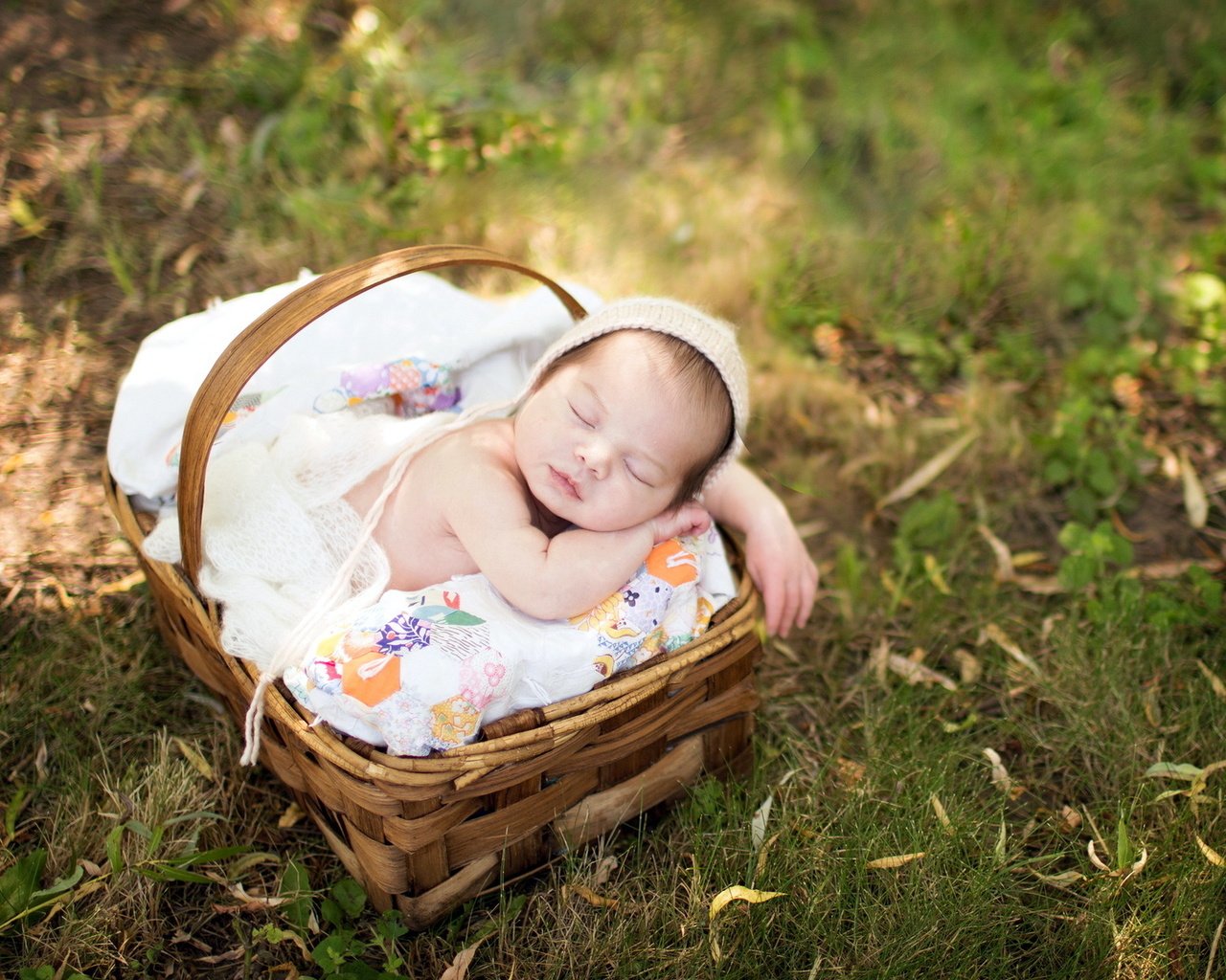 Обои природа, сон, корзина, ребенок, младенец, nature, sleep, basket, child, baby разрешение 1920x1200 Загрузить